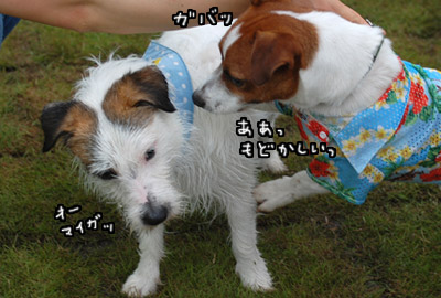 167.jpg