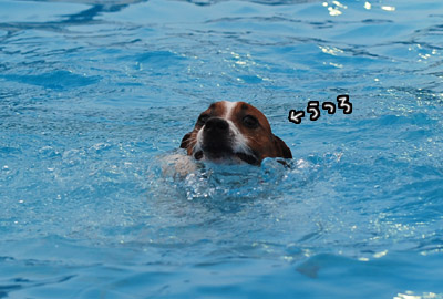 006.jpg