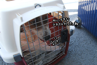 031.jpg