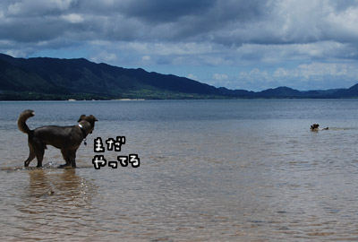 102.jpg