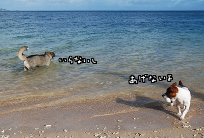 103.jpg