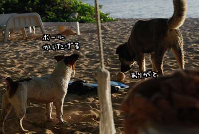 106.jpg