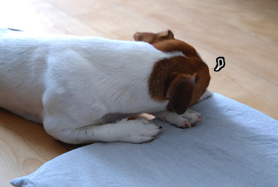 111.jpg