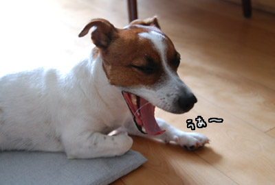 114.jpg