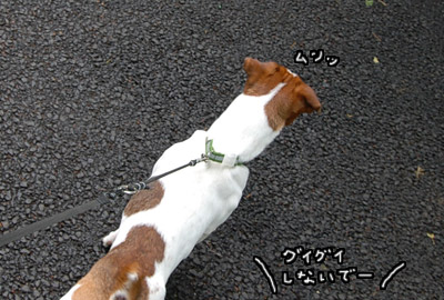 117.jpg