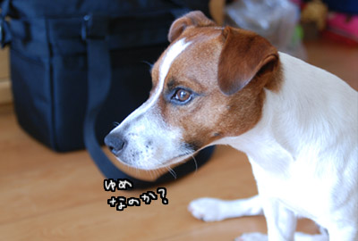 118.jpg