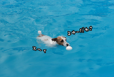 138.jpg