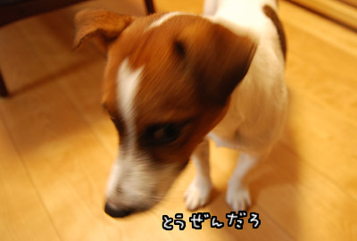 105.jpg