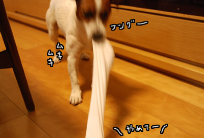 107.jpg