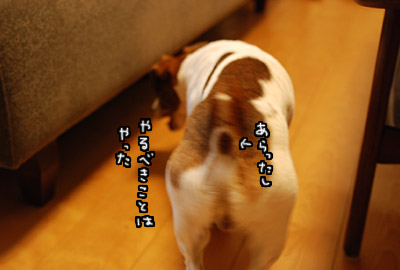 110.jpg