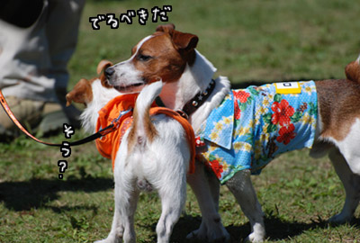 107.jpg