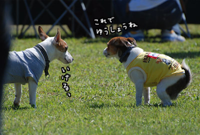 110.jpg