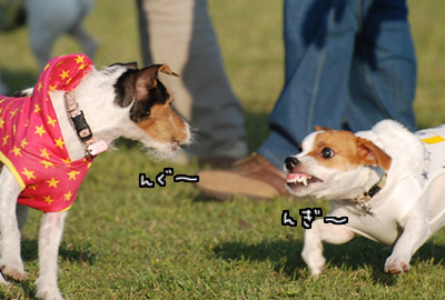 117.jpg