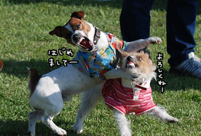 118.jpg
