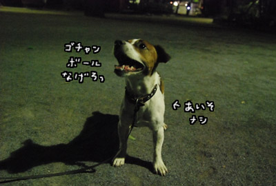 082.jpg
