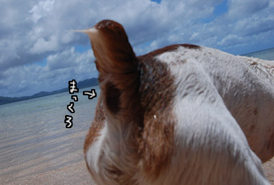 102.jpg