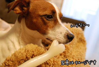139.jpg