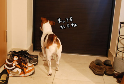 111.jpg