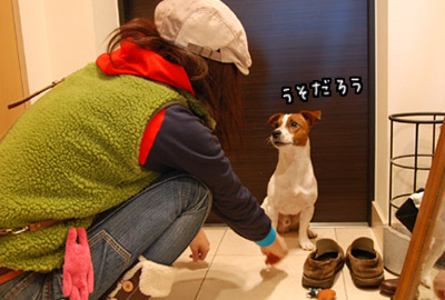 114.jpg