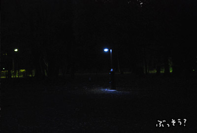 031.jpg