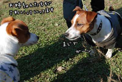 060.jpg