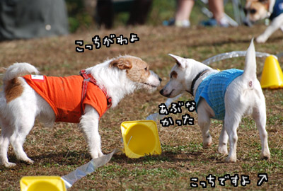 062.jpg