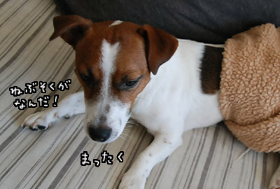 097.jpg
