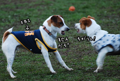 106.jpg