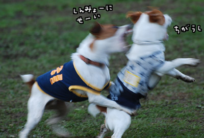 107.jpg