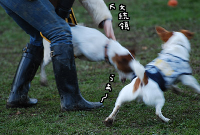 108.jpg
