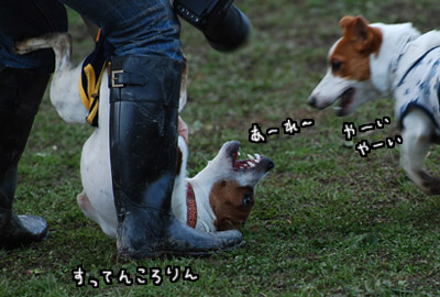 109.jpg