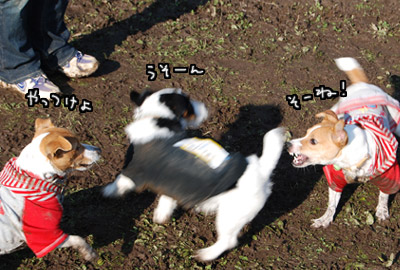 121.jpg