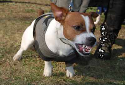 128.jpg