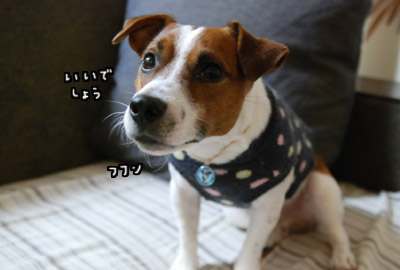 137.jpg