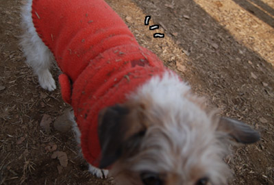 168.jpg