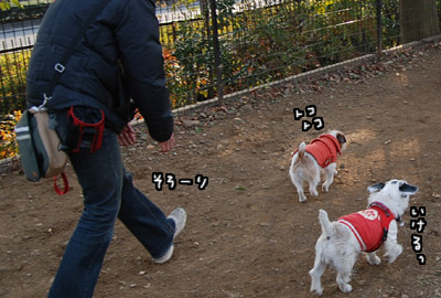 171.jpg