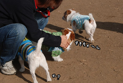 184.jpg