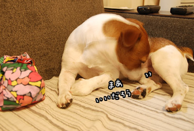 191.jpg