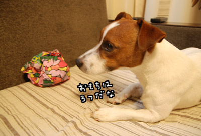 194.jpg