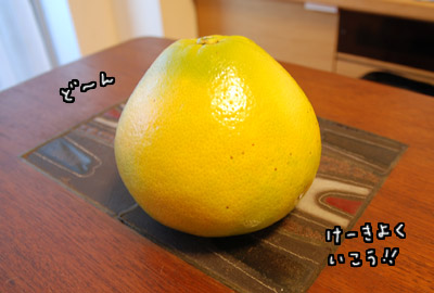 004.jpg