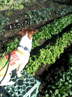 017.jpg