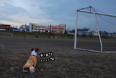 133.jpg