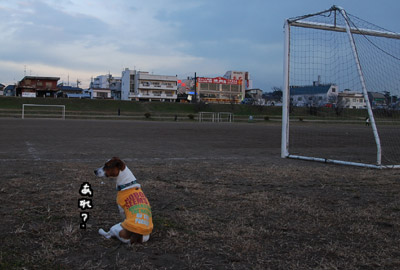 134.jpg