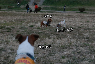 137.jpg