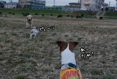 139.jpg