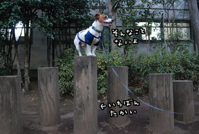 149.jpg