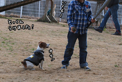 010.jpg