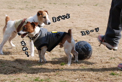 012.jpg