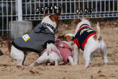 030.jpg