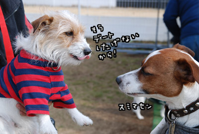 033.jpg